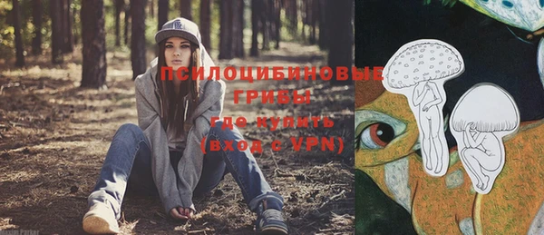 винт Баксан