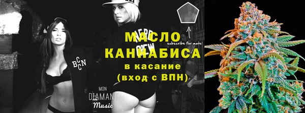 дмт Рославль