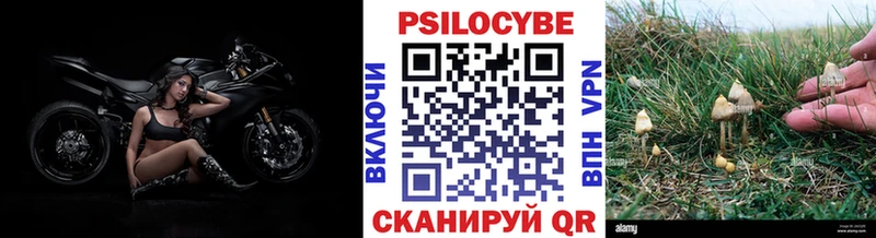 Псилоцибиновые грибы ЛСД Давлеканово